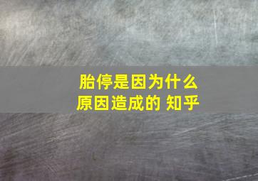 胎停是因为什么原因造成的 知乎